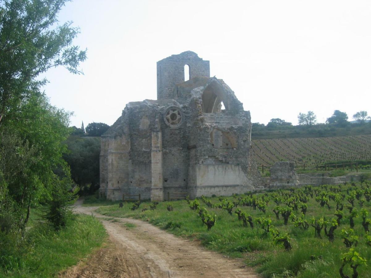 Maison De La Fontaine Embres-et-Castelmaure Exteriör bild
